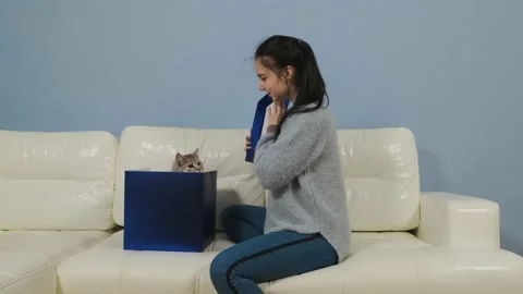 A person opens a gift box and a pet cat jumps out of it. Stock Footage 135002128