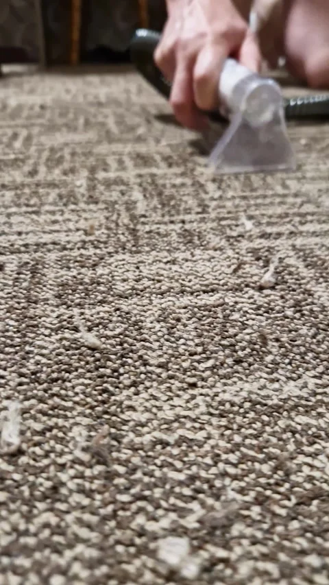 Person Operating Clear Wet Vacuum Wand Cleaning Brown Looped Carpet Stock-Footage 339082428