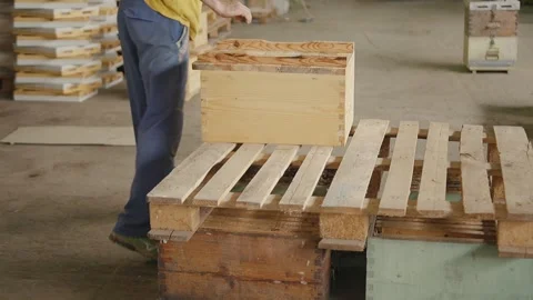 Person Organizes Beehive Boxes in Workshop for Apiculture Preparation Stock Footage 331693525