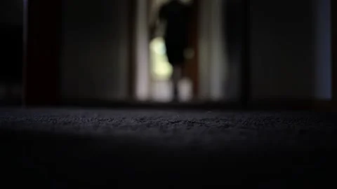 Person out of focus walking along a dark hallway at home towards camera Stock Footage 230149893