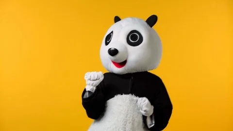 Person in panda bear costume dancing isolated on yellow Stock Footage 127995772