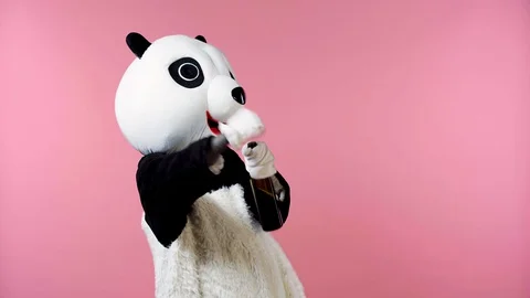 Person in panda bear costume drinking wine and dancing isolated on pink Stock Footage 127996858