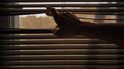 Person Peeking Through Partially Open Window Blinds to Secretly Observe the Outs Stock Footage 339204311