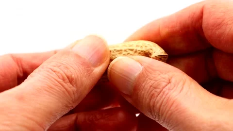 A person peeling peanuts Stock Footage 336289052