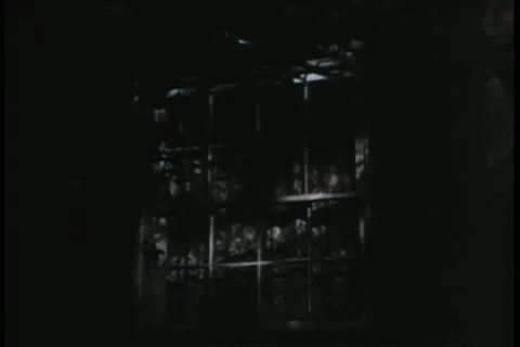 Person peering through window Stock Footage 11349394