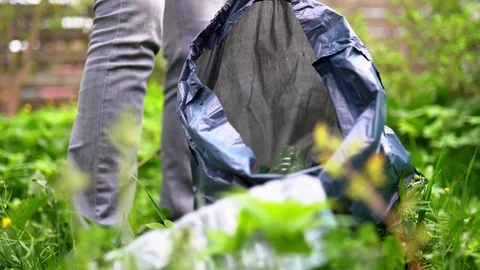 Person picks up garbage puts bottle into trash bag in park Stock Footage 109050925