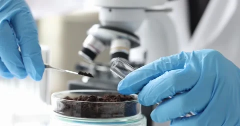Person places soil sample into test tube using microscope Stock Footage 308884156