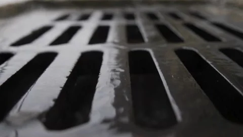 Person placing a fresh strawberry on a delicious waffle Video stock 332283353
