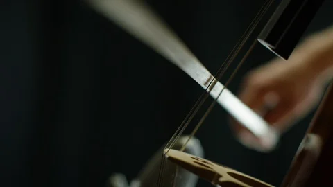 Person playing a cello Stock Footage 108937697
