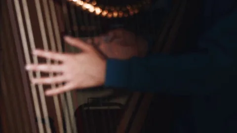 Person Playing The Harp Vidéo 69238645