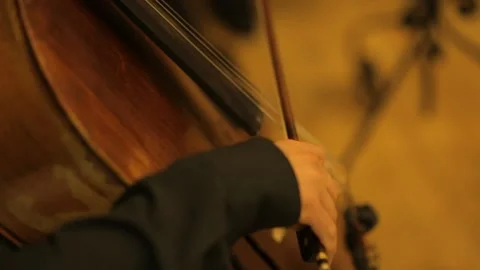 A person plays the cello Stock Footage 137304554