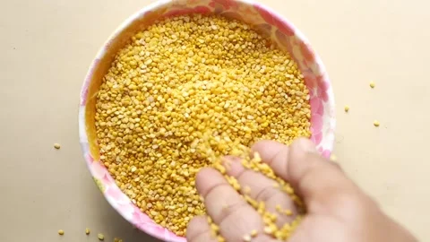 Person pouring yellow split lentils back into floral bowl during food prepa.. Vídeos de archivo 332470030