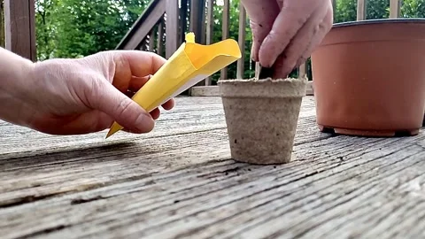 Person Prepares Seed Starter Pot for Planting Seed Stock Footage 310761704