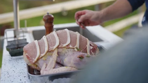 A person is preparing a turkey in a pan Stock Footage 295369425