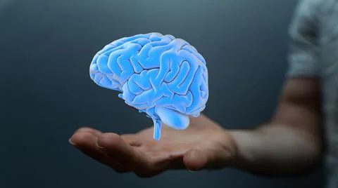 Person presenting the virtual 3D rendered projection of the human brain and A Stock Photos
