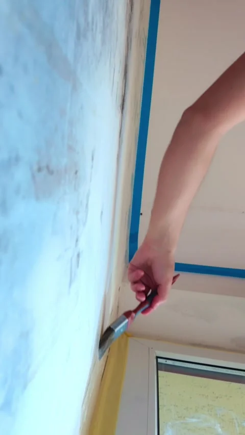 Person priming interior wall with roller in living room Stock Footage 335315897