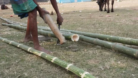 Person processing bamboo Video stock 332579971