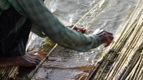 A person processing jute stalks Stock Footage 320004661