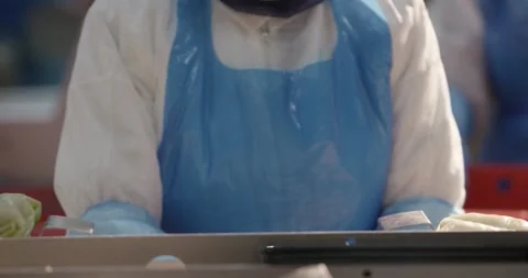 Person in protective clothing wrapping a cabbage roll with bacon in a food Vídeo Stock 339973336