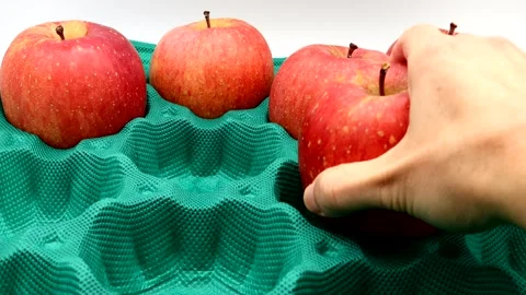 The person putting apples as packing material Stock Footage 336447335