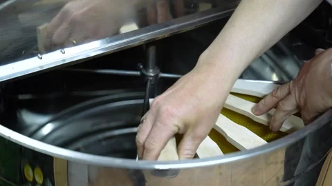 Person Putting The Hive Frames On Cylindrical Honey Extractor Machine. - Stock Footage 310356573