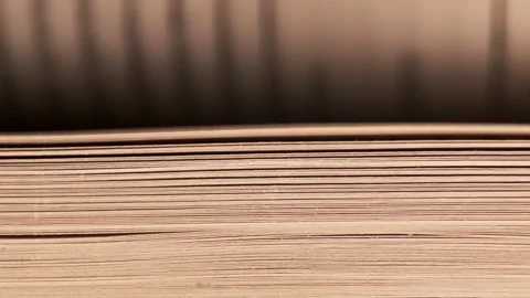 Person quickly flips through thick book with plenty of pages Vidéo 195125196