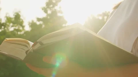 Person Reading Open Book Outdoors Under Bright Sunlight Stock Footage 336561891