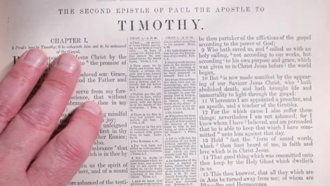 Person reading Second Timothy in the New Testament Holy Bible Stock-Footage 293488292
