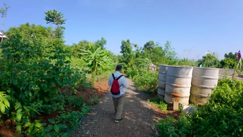 Person with red backpack walking on jungle trail in rural Chiangmai 動画素材 310838459