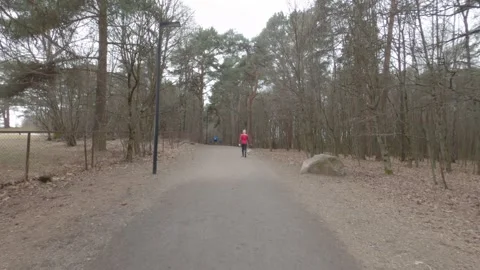 Person in Red Jacket Walking Dog on Path in Ekebergparken Oslo Norway Stock Footage 340828811
