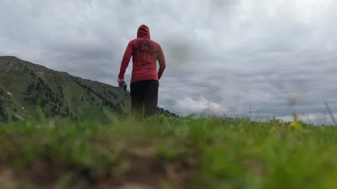 Person in red jacket walks through grassy field toward mountain landscape Stock Footage 336964859