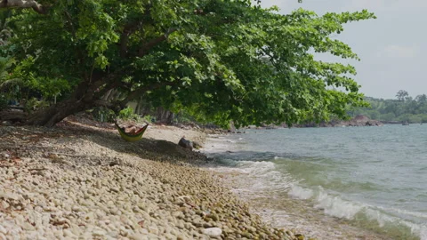 Person Relaxing in Hammock Under Tree on Tropical Beach Stock Footage 337533114