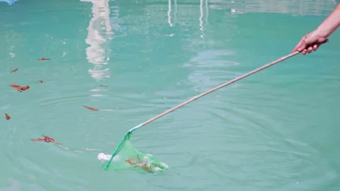 Person removing garbage from the pool water surface 스톡 동영상 296824610