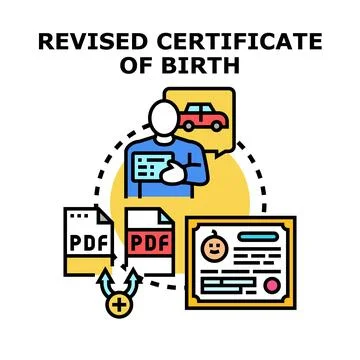 Person revising birth certificate document information update Stock Illustration