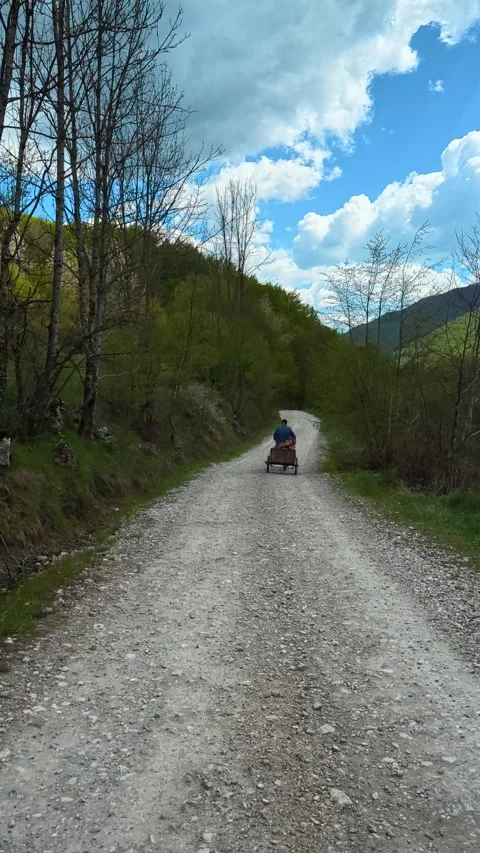Person rides a small cart down a gravel path. Tupavica area, Vertical Stock Footage 335947094