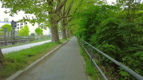 Person riding a bicycle on a park path under green trees in Zurich Stock Footage 334630771