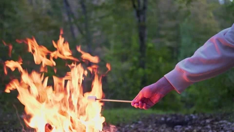 Person roasts marshmallows by the campfire, close-up Stockbeeldmateriaal 164037469