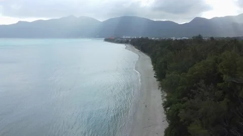 A person is running on the beach between the forest and the sea Stock Footage 156889487
