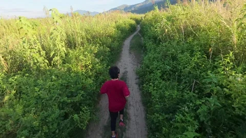 Person Running on a Dirt Path Through Greenery Stock Footage 332540657