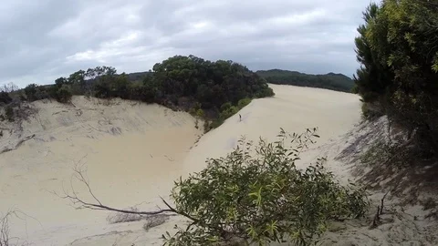 Person running down a sand dune on Fraser Island Stock Footage 71478700