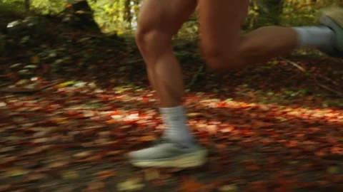 Person running in the forest Stock Footage 288862635