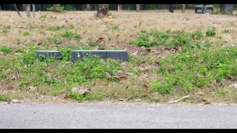 Person Running on Path with Grass Background for Mindfulness Lifestyle Use Stock Footage 327656867