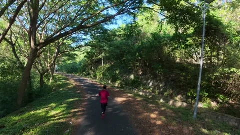 Person Running on a Road Surrounded by Trees Stock Footage 325645435