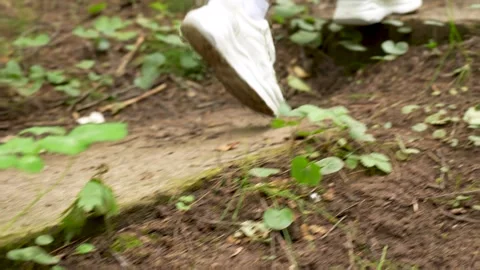 Person Running UP Steps in Green Forest Stock Footage 314006008