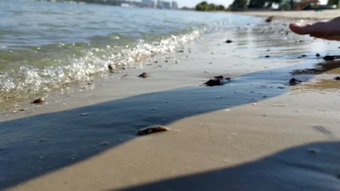 Person on sandy river beach Video stock 280501676