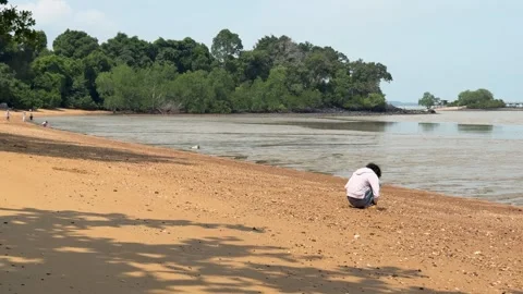 Person Searching for Shells on Sandy Beach in Port Dickson Malaysia Stock Footage 340484770
