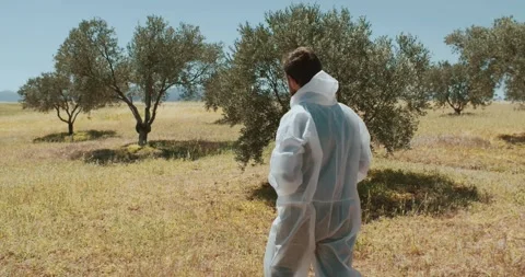 A person is seen walking through a lush olive grove while wearing protective Stock Footage 286362724