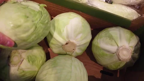 Person selecting fresh cabbage indoors at a grocery store market stall Stock Footage 342022998