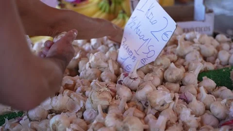 Person Selecting Fresh Garlic at a Local Food Market 스톡 동영상 346847328