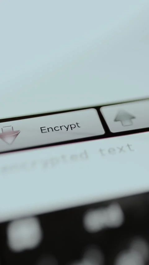 Person selects the option Encrypt for text encryption Stock Footage 329749233